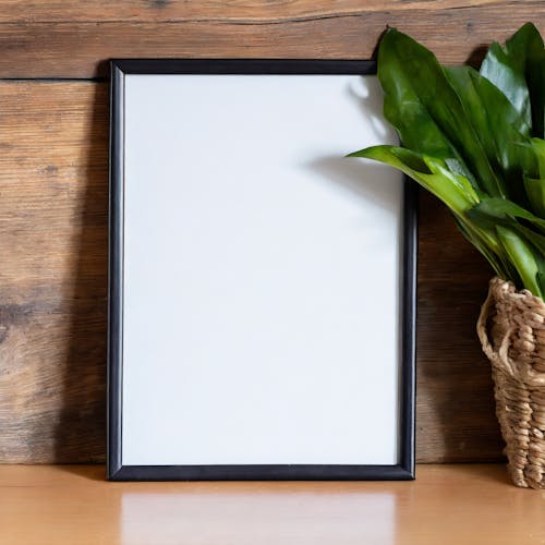 White, Blank Frame and Plant near