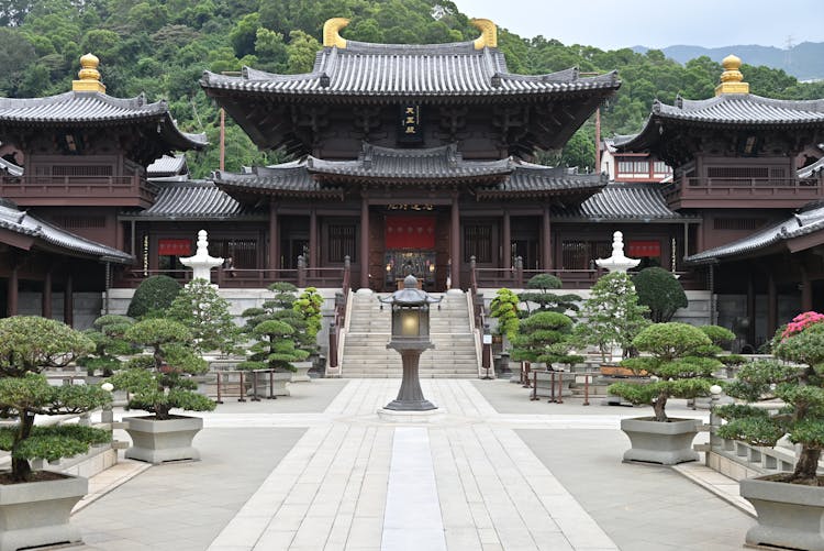 Chi Lin Nunnery With Bonsai Trees