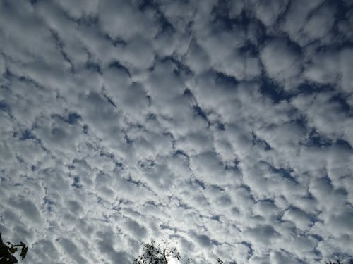天上的云很小, 白色的云 的 免费素材图片