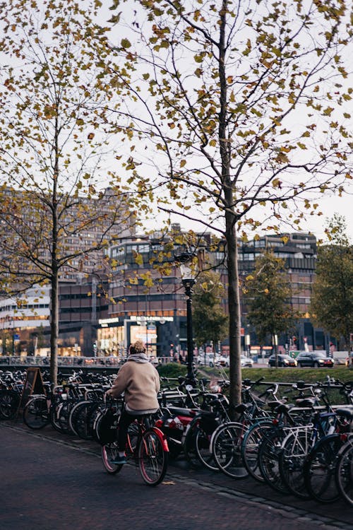 Person Cycling at Park in City in Netherlands