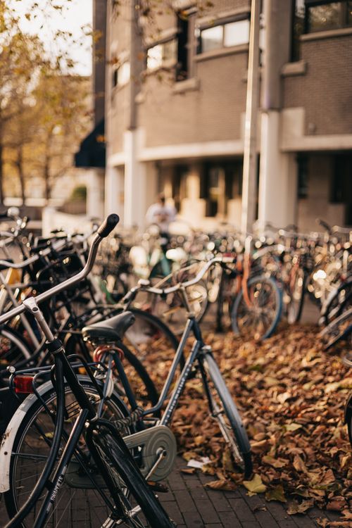 Free A vertical shot of bicycles parked on an urban street covered with autumn leaves, capturing the serene city vibe. Stock Photo