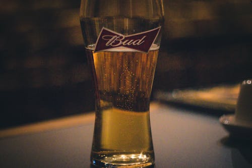 Δωρεάν στοκ φωτογραφιών με αλκοόλ, μπαρ, μπύρα