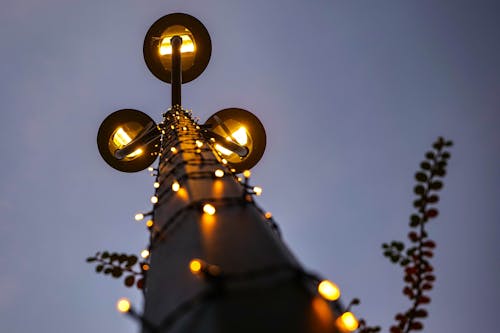 Low Angle Shot of a Street Lamp Decorated with Christmas Lights 