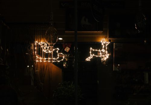 Free Christmas light decorations featuring reindeer and sleigh, capturing a warm festive ambiance. Stock Photo