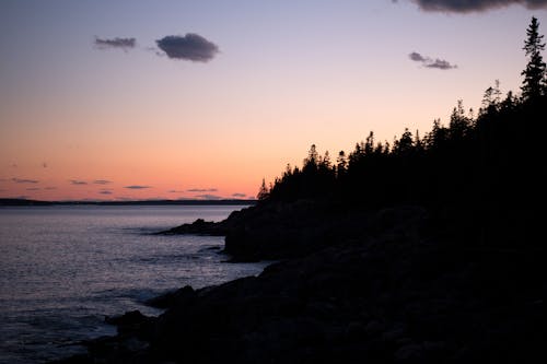 Бесплатное стоковое фото с деревья, закат, море