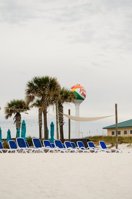 Imagine de stoc gratuită din coastă, faleză, Florida