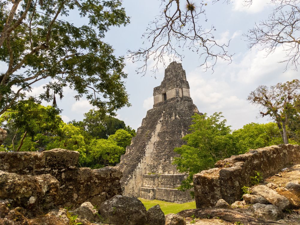 Gratis Fotos de stock gratuitas de arboles, bosque, edificio Foto de stock