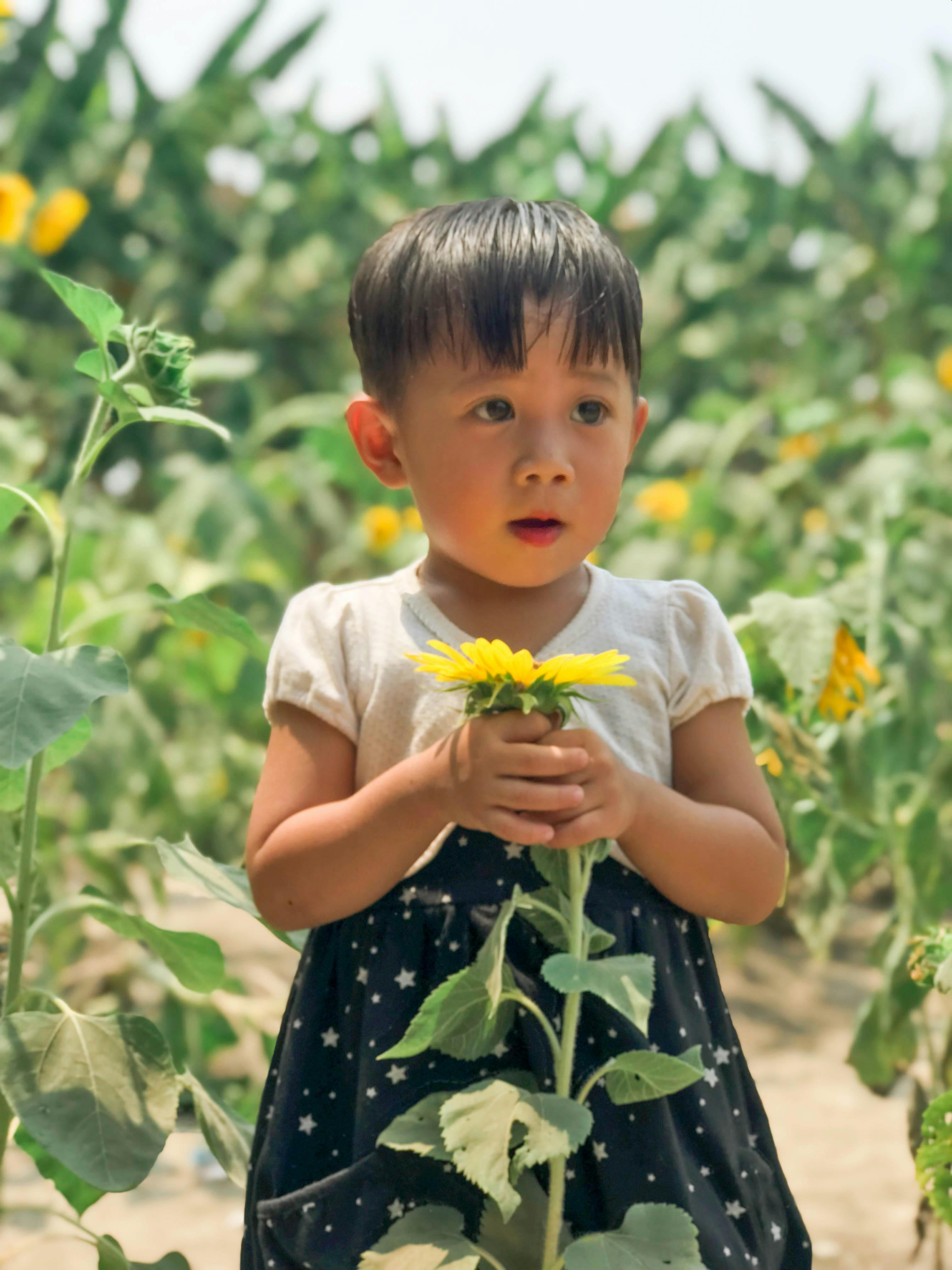 a little girl holding a sunflower in a field