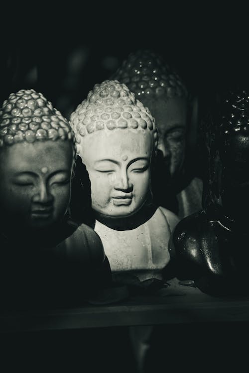 Busts of Buddha