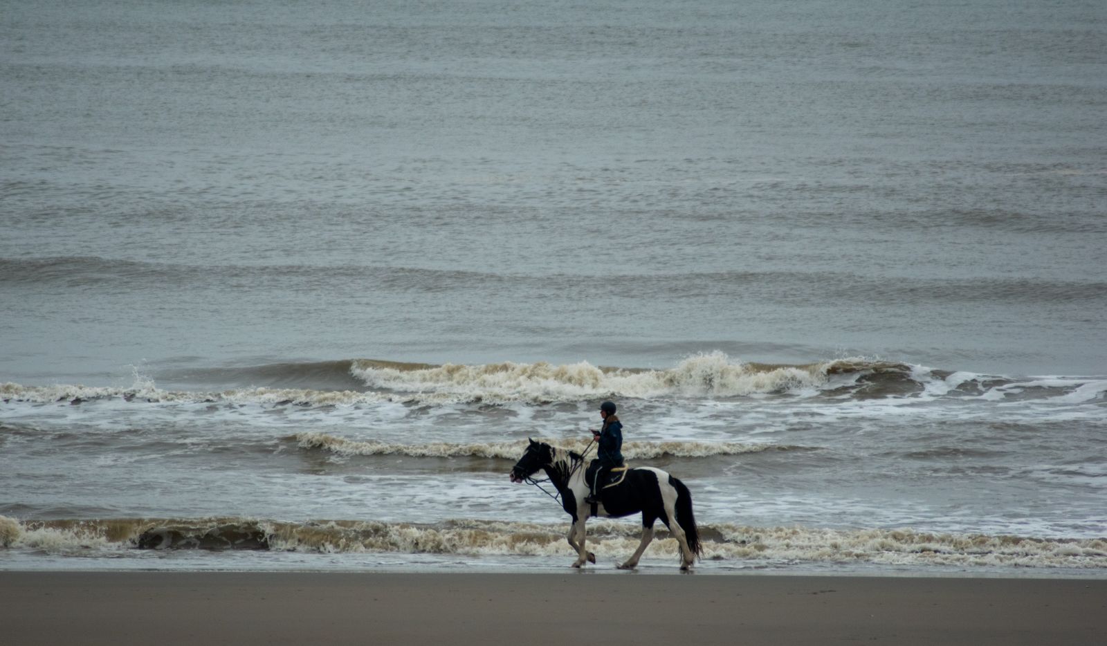 Horse and rider walking along a quiet beach