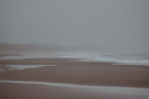 Serene foggy beach with misty waves and empty shore, perfect for calm and nature themes.