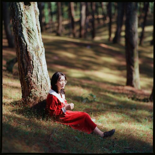 Free Asian woman seated in a red dress, enjoying a peaceful forest setting in Hà Giang, Vietnam. Stock Photo