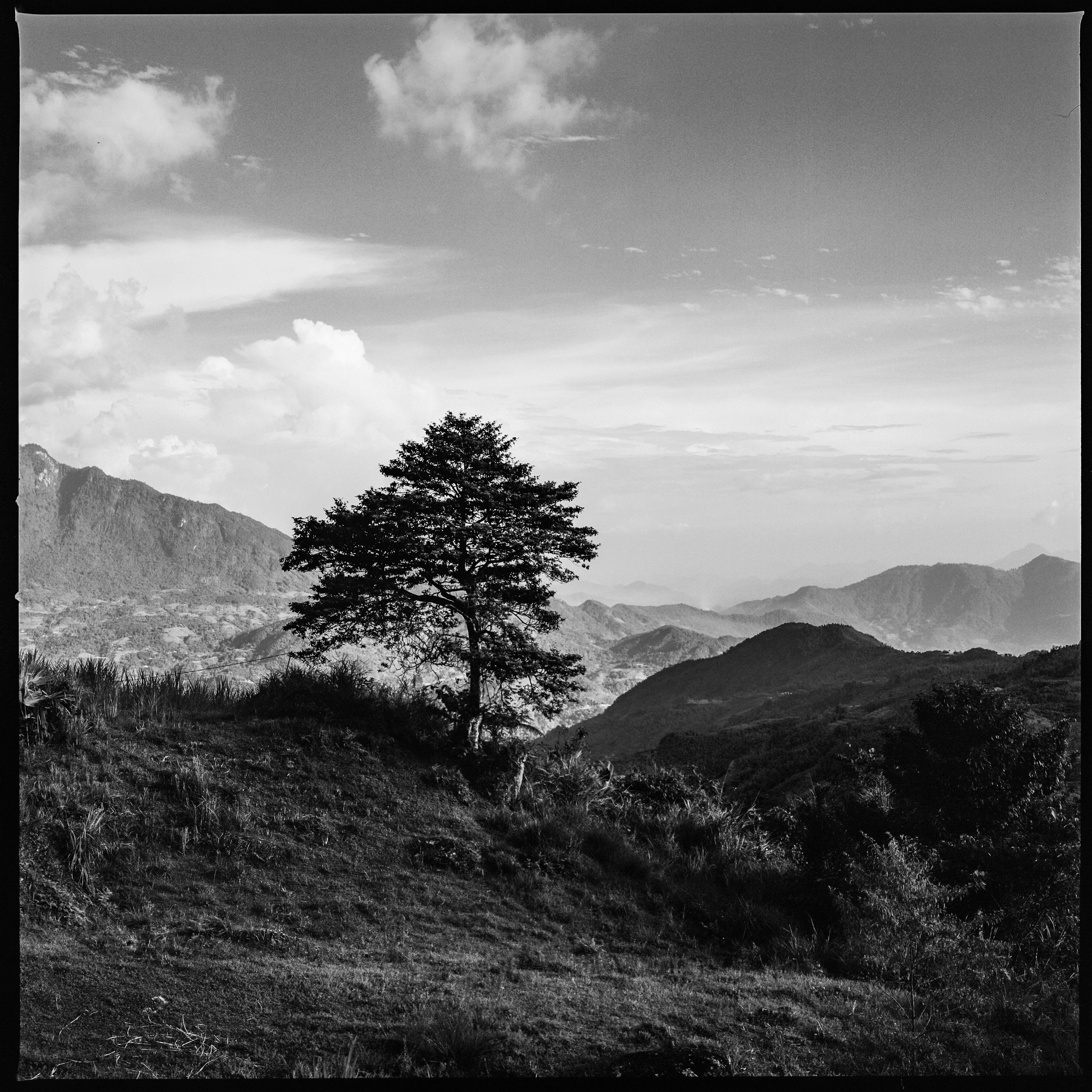 A striking black and white landscape of Hà Giang, Vietnam, featuring a solitary tree and majestic mountains.