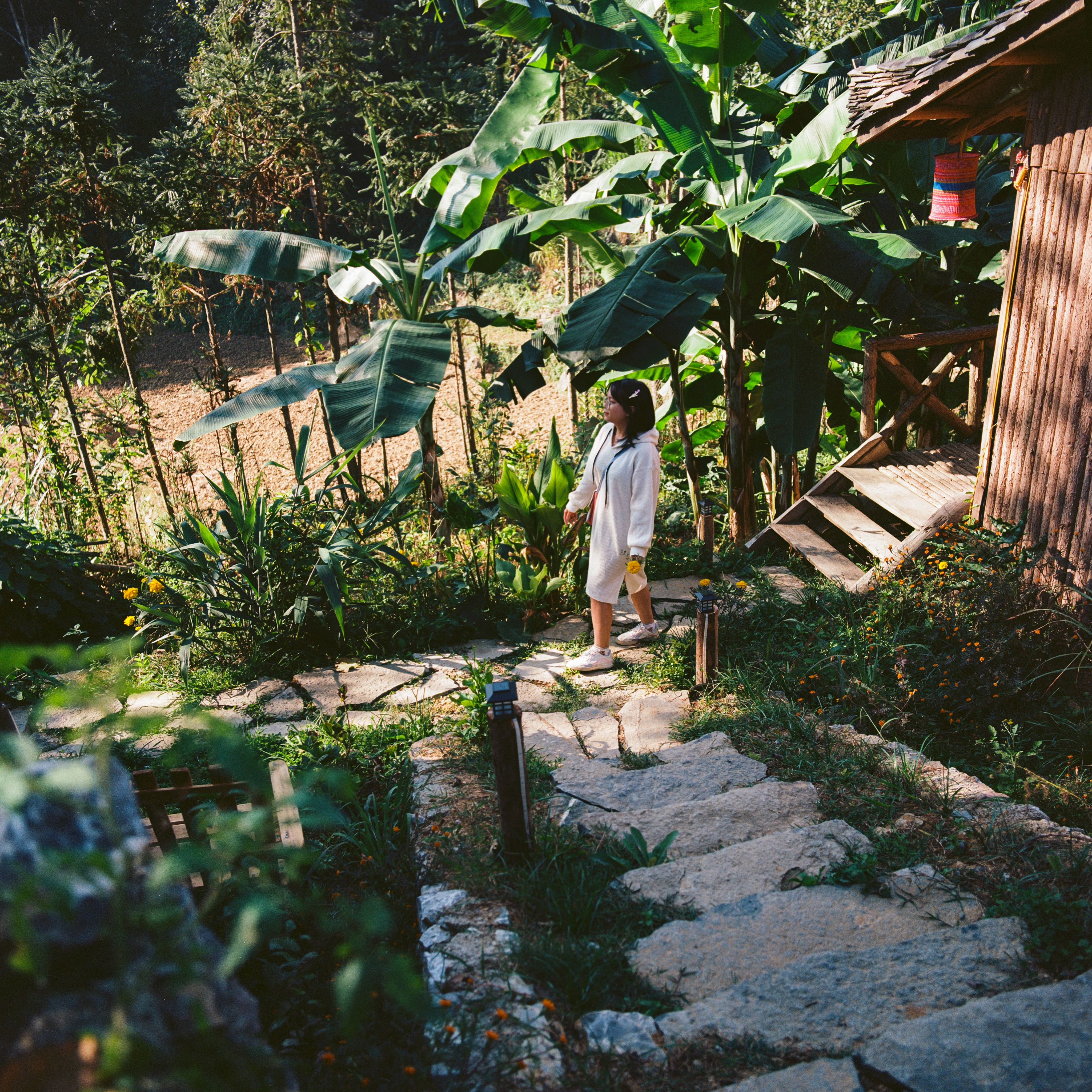 A girl explores a lush garden path in rural Ha Giang, Vietnam, surrounded by tropical plants.
