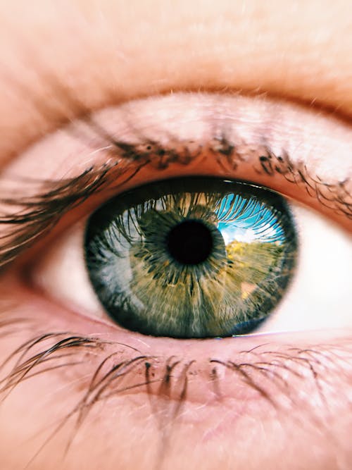 Free Close-Up Photo of Person's Eye Stock Photo