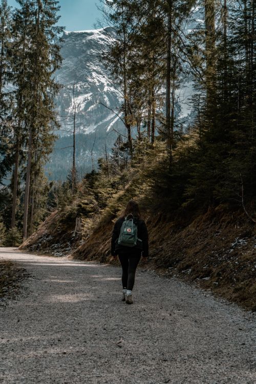 Free A woman hikes on a forest path surrounded by towering trees and majestic mountains. Stock Photo