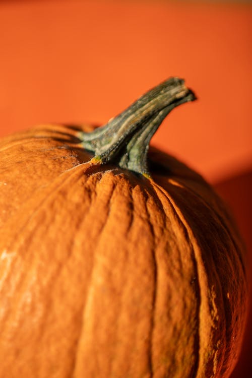 Close-up of an Orange Pumpkin on Orange Background 