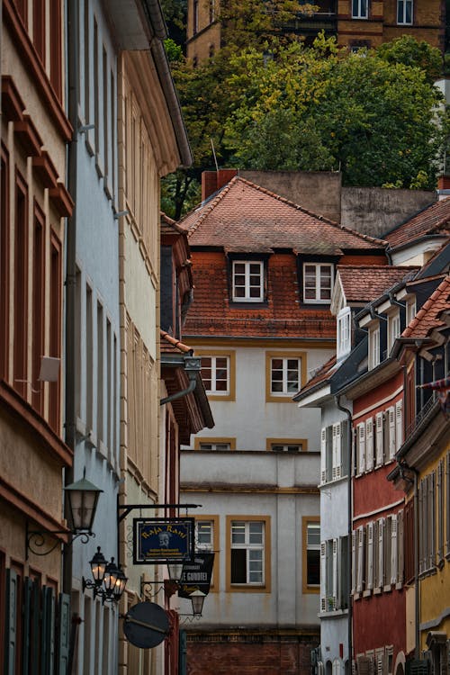 Traditional Townhouses in a City 