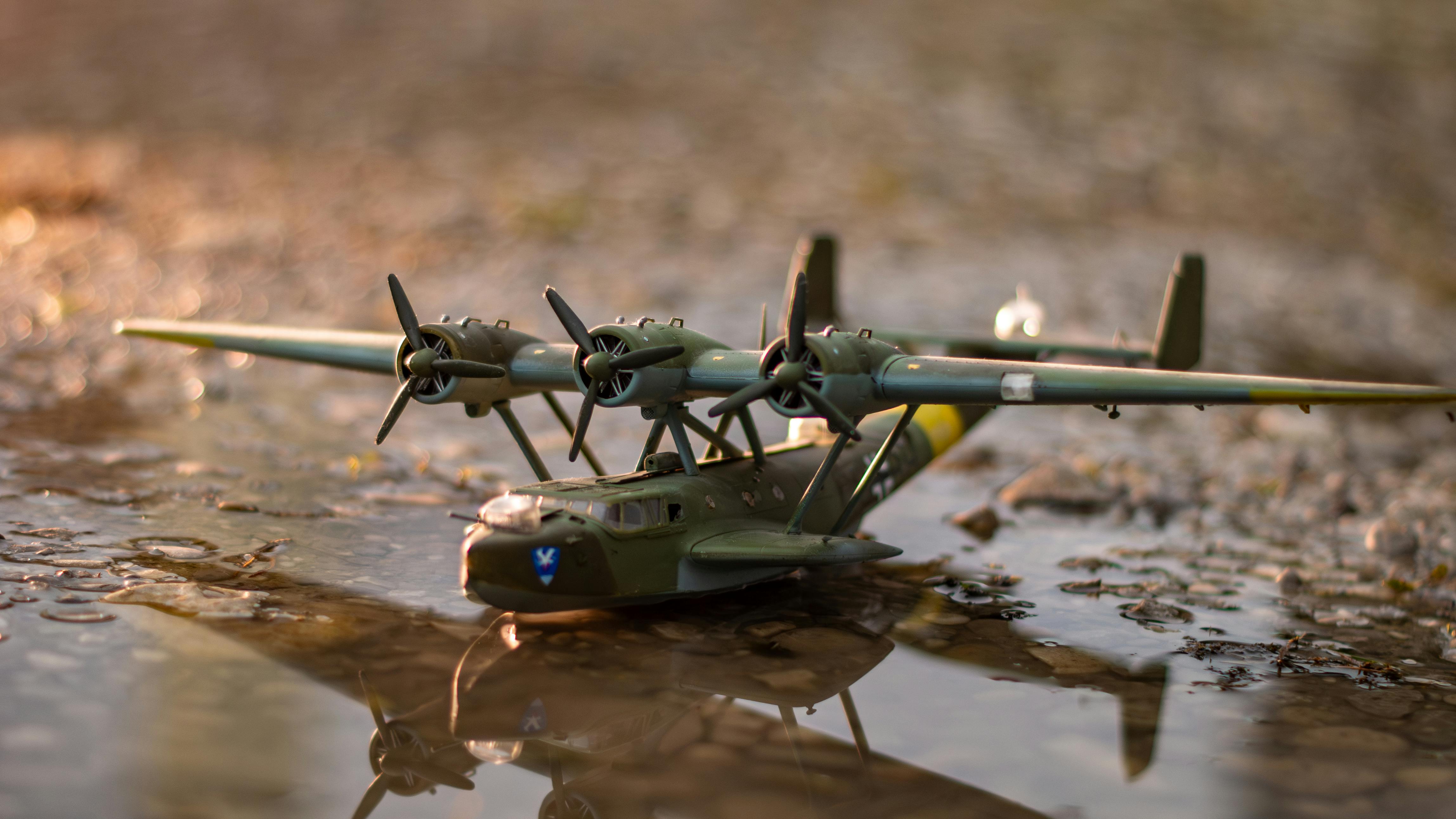 Gratuit Photos gratuites de @extérieur, à collectionner, amphibie Photos