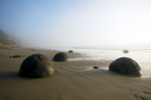 คลังภาพถ่ายฟรี ของ กอง, ชายทะเล, ชายหาด