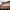 Pantheon