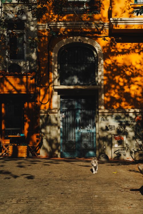 Free A cat explores a vibrant street in Istanbul, casting shadows on a colorful building facade. Stock Photo