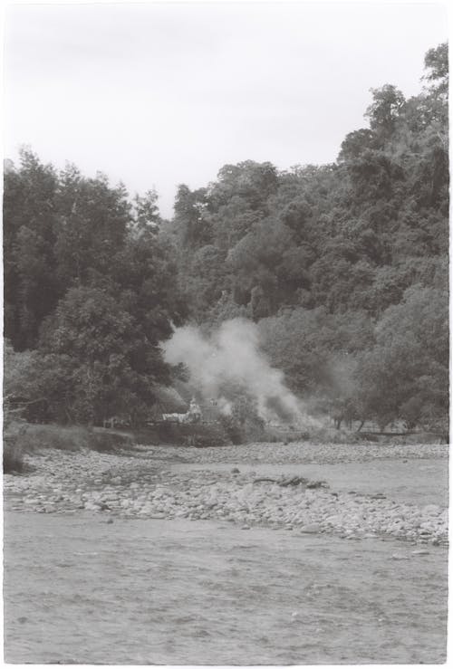 강, 나무, 담배를 피우다의 무료 스톡 사진
