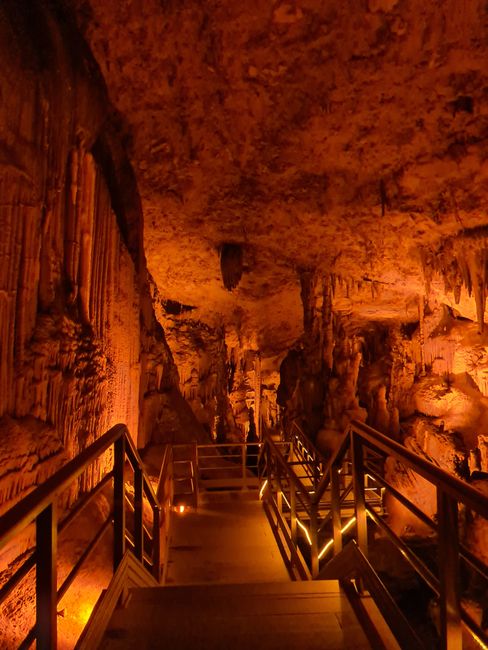 Phong Nha's Caves A Guide to Underground Wonders Phong Nha's Caves A Guide to Underground Wonders