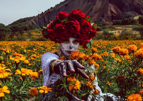 Imagine de stoc gratuită din câmp, dia de los muertos, femeie