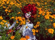 好的，我会根据您的要求进行句子的优化