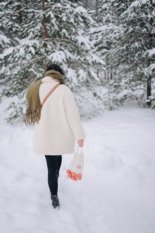 Photos gratuites de arbres, écharpe, femme