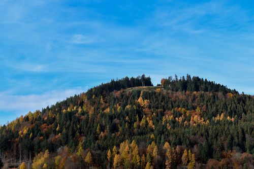 Free Vibrant autumn foliage covering a forested hill under a clear blue sky, showcasing nature's beauty. Stock Photo