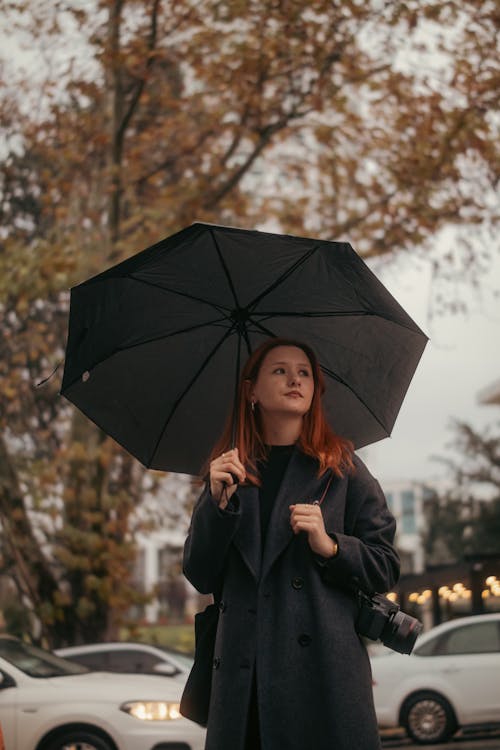 Základová fotografie zdarma na téma deštník, dlouhé vlasy, model