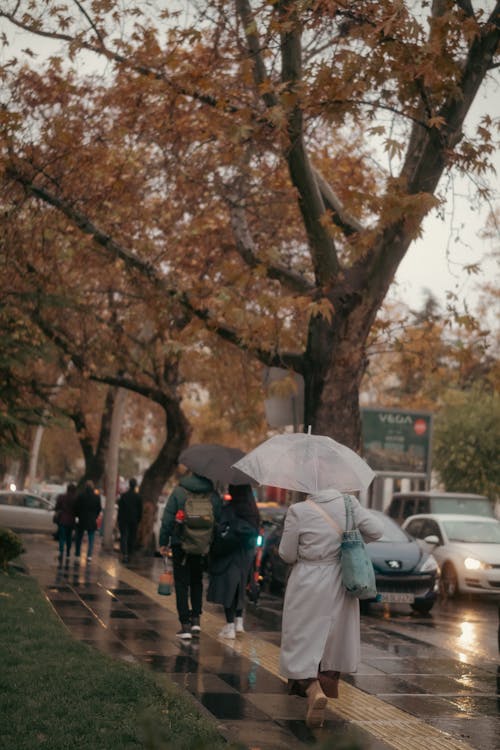 People with Umbrellas Walking on Sidewalk in Autumn