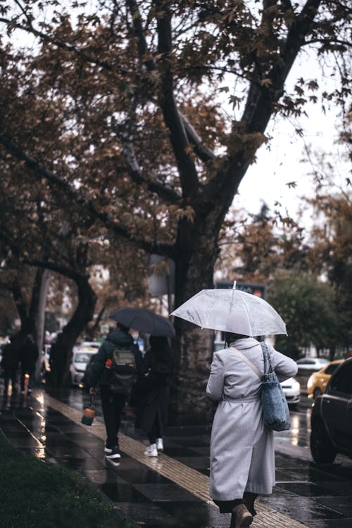 People Walking on Sidewalk in Rain