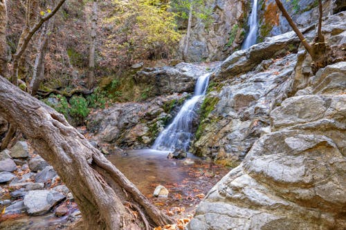 Waterfall on Rocks in Forest