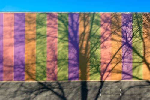 Darmowe zdjęcie z galerii z budynek, cień, drzewo