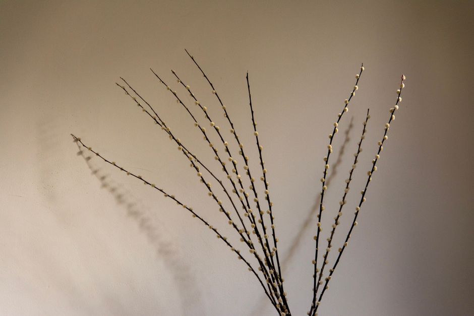 A minimalist home decor with an artistic arrangement of twigs against a neutral wall.
