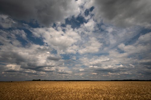 Fotobanka s bezplatnými fotkami na tému dedinský, hracie pole, mraky