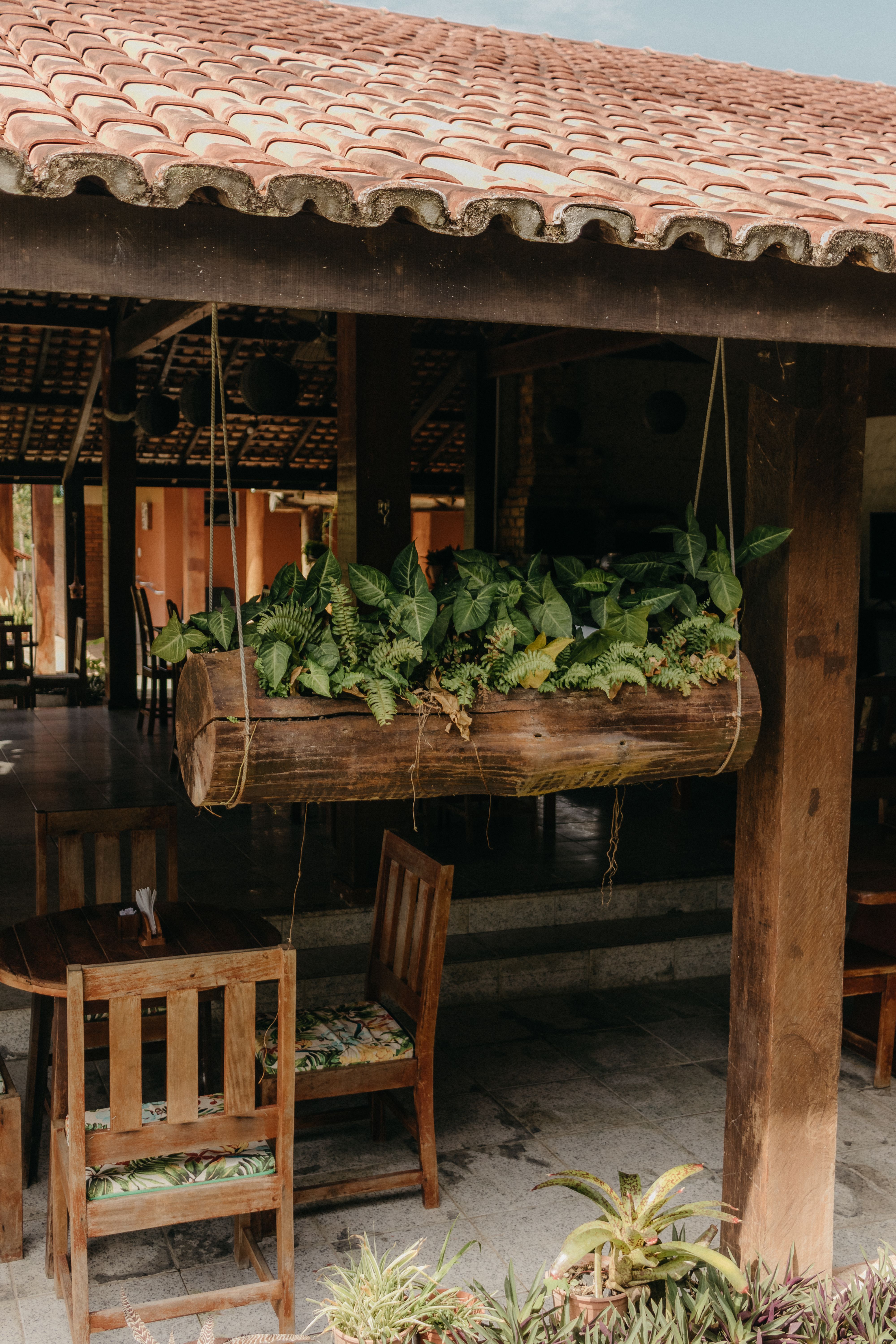 Hollowed out rustic logs filled with gravel and small trailing plants sitting on a gravel patio surface