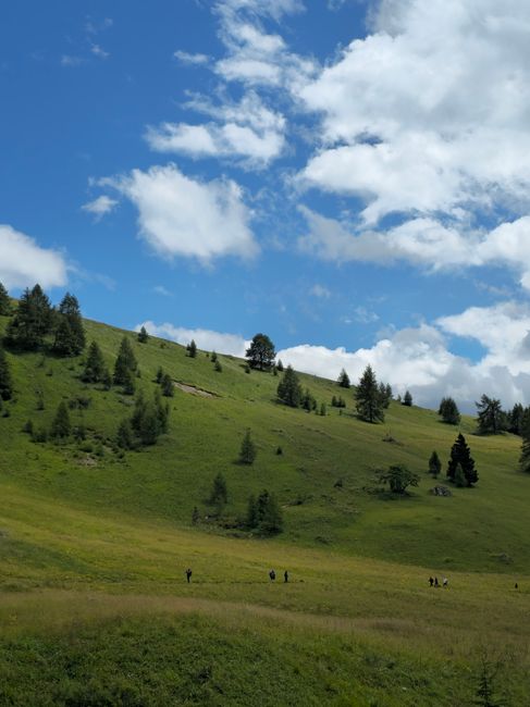 Expansive green hillside with trees and blue sky in Fuchiade, Trentino-Alto Adige, Italy.