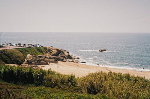 Bushes and Beach on Sea Coast