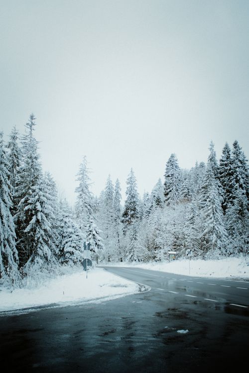 Free A serene winter landscape with a snow-covered road winding through a conifer forest in Toplița, Romania. Stock Photo
