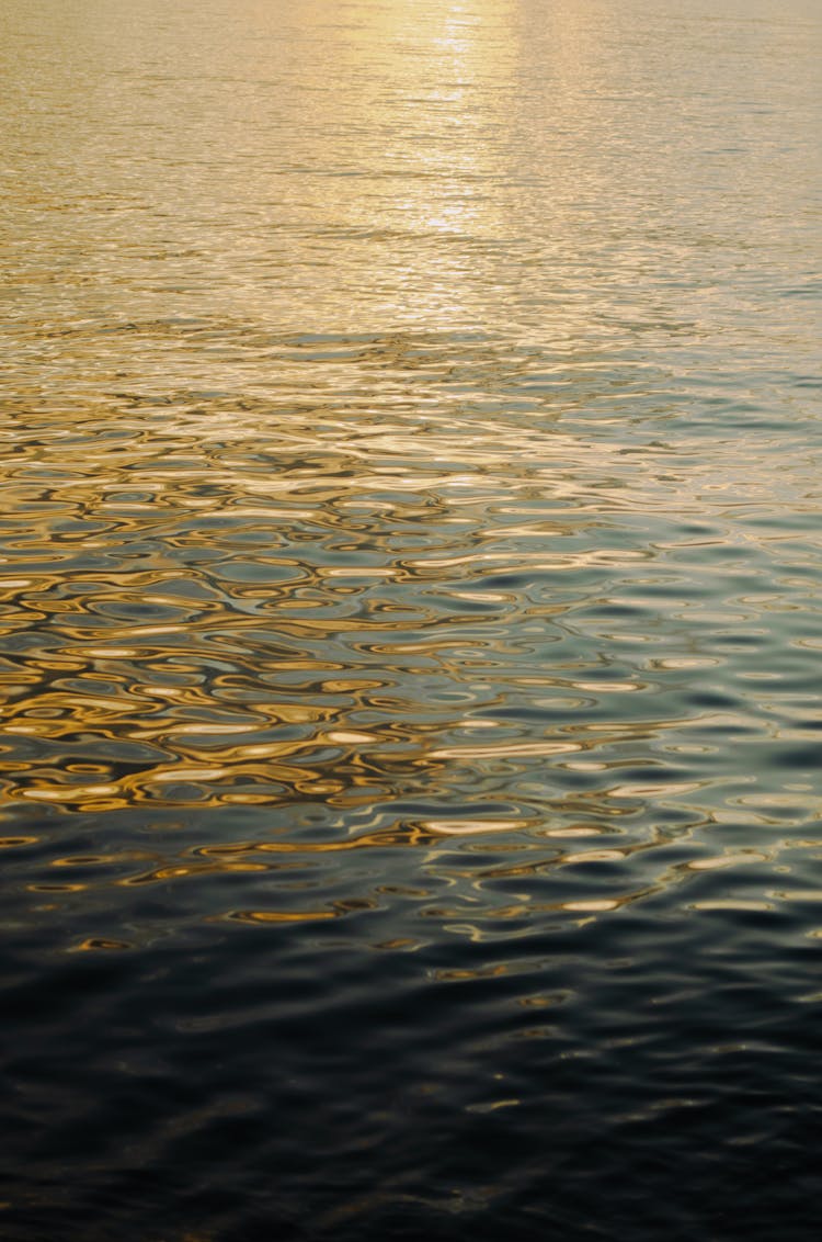 Shiny Water Surface At Sunset