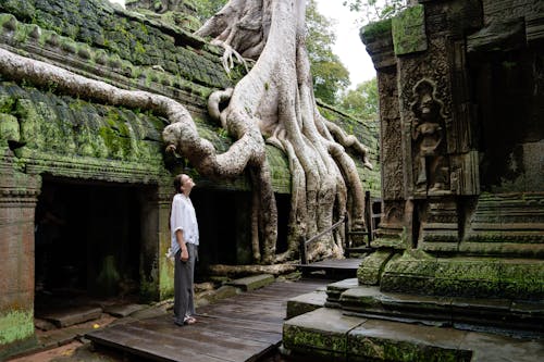 Woman in Ta Prohm Buddhist Temple in Cambodia