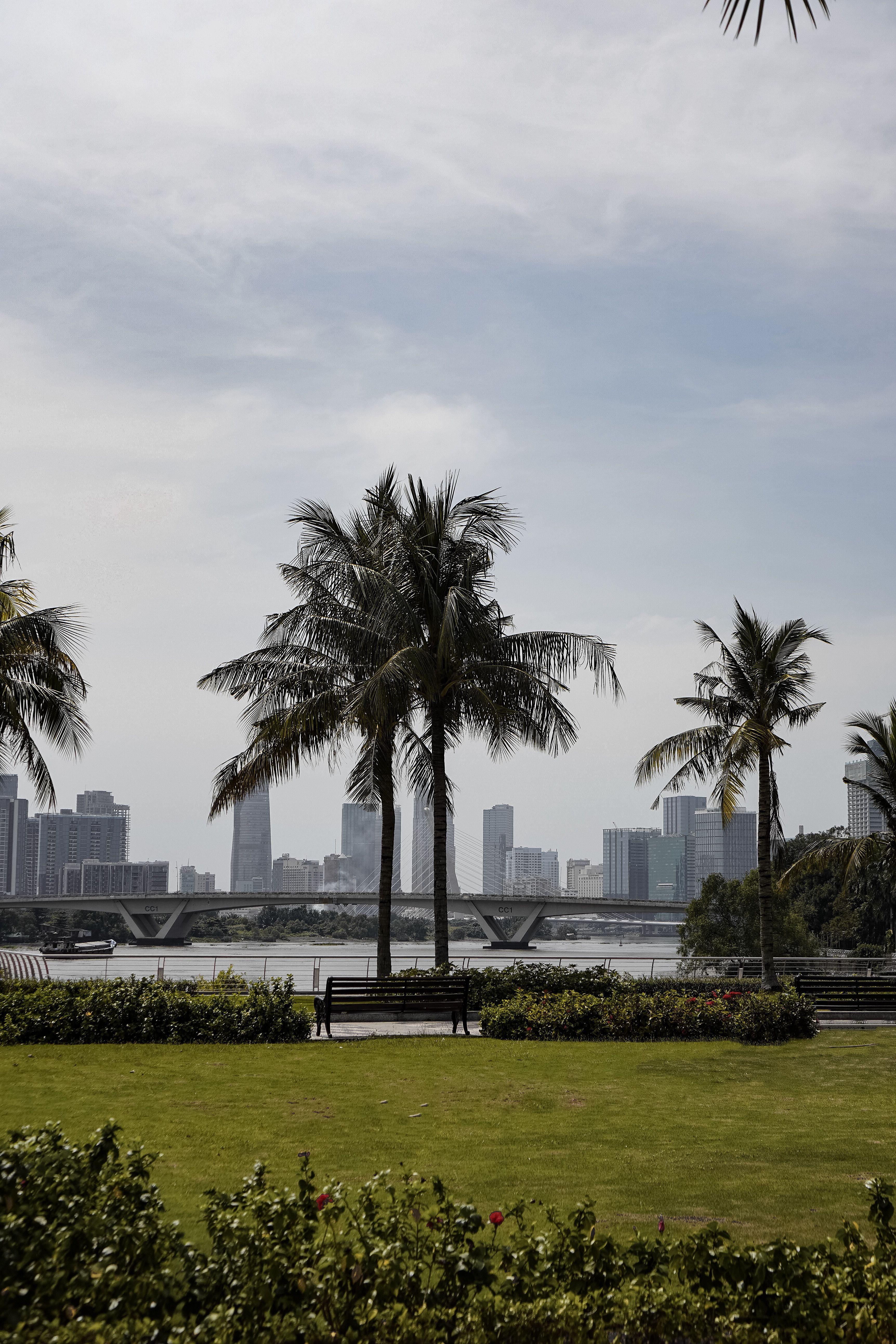 A Miami park with palm trees and the downtown skyline behind it