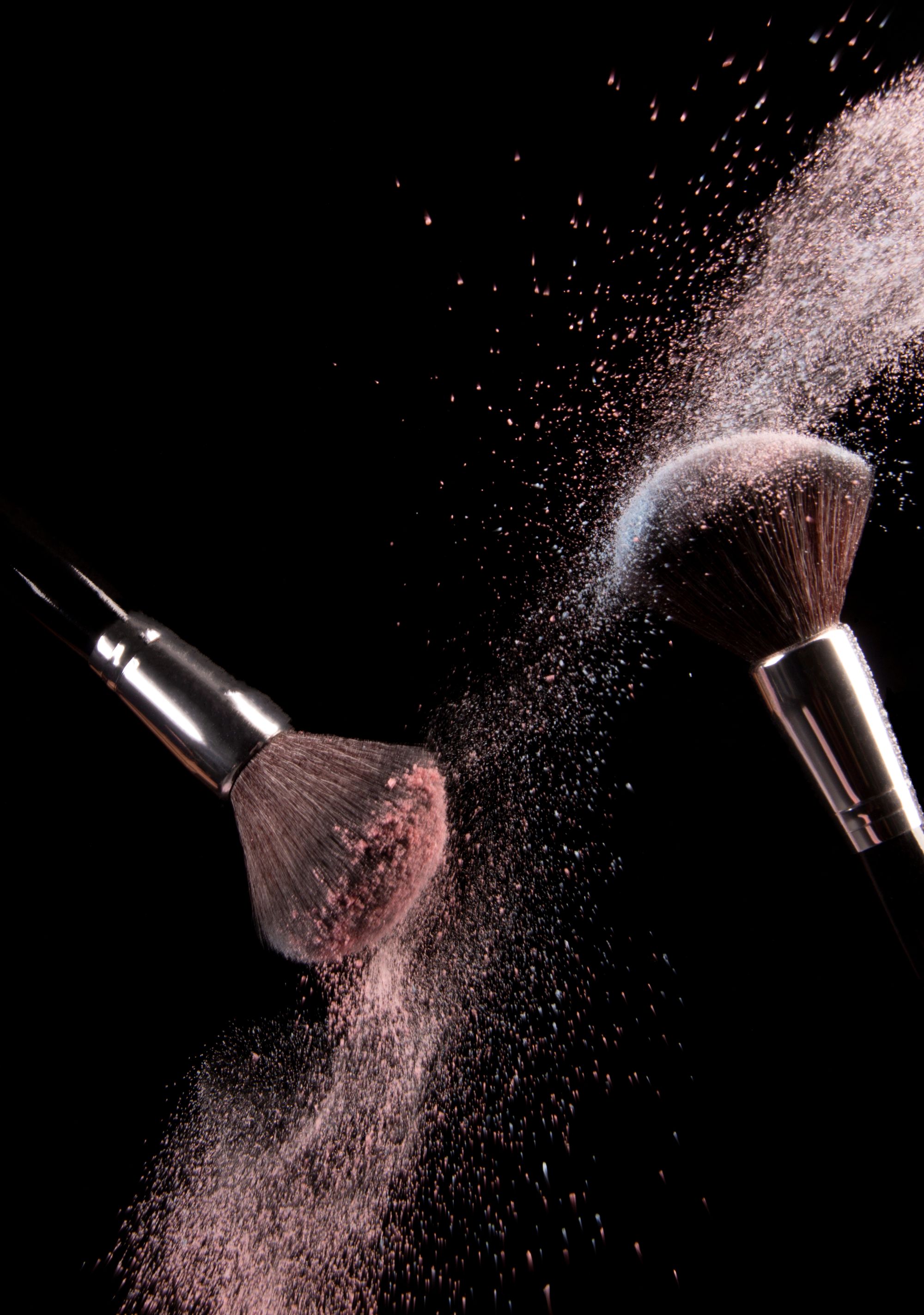 Makeup brushes with rose powder — professional beauty artistry