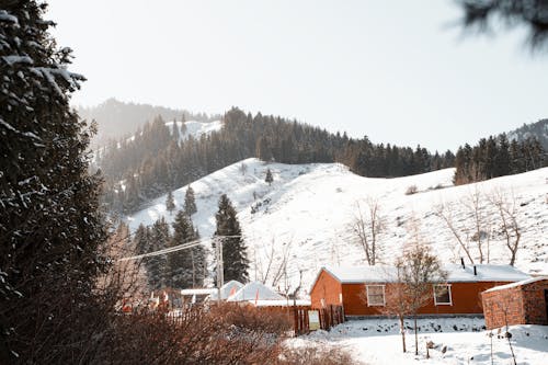 Photos gratuites de arbres, campagne, des villages