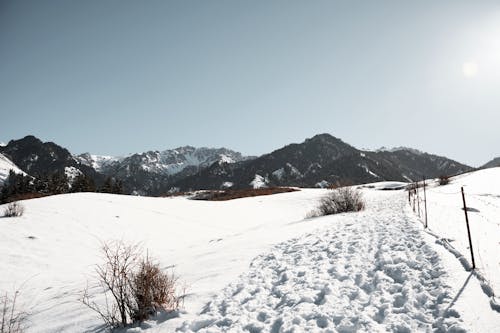 Kostenloses Stock Foto zu berge, kalt, landschaft