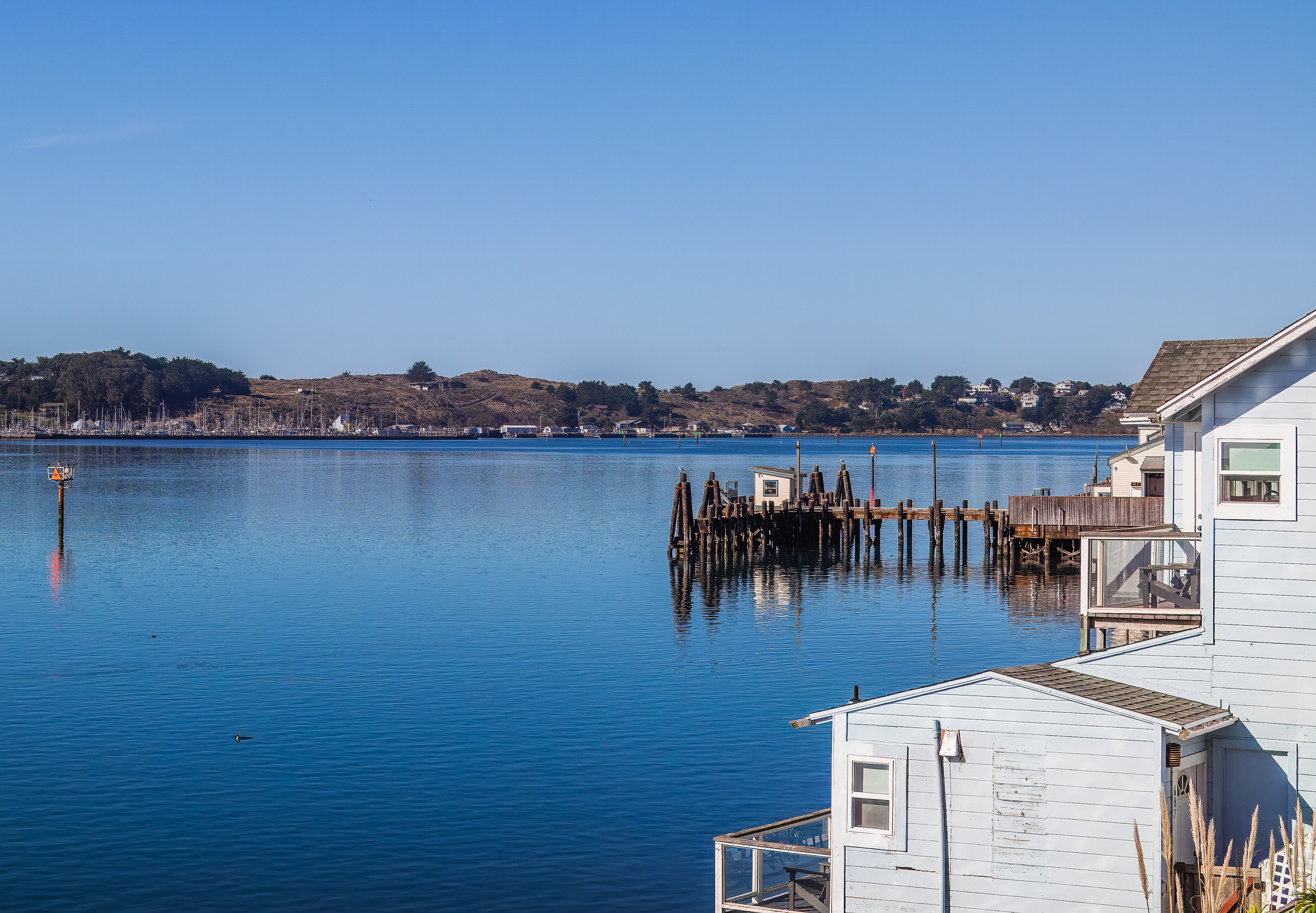 The best real estate brokers in the Bay Area — Photo by Robert So on Pexels